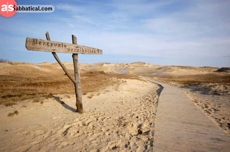 Curonian Spit is a national park in Lithuania where you can find sand dunes and pine forest coexisting together.