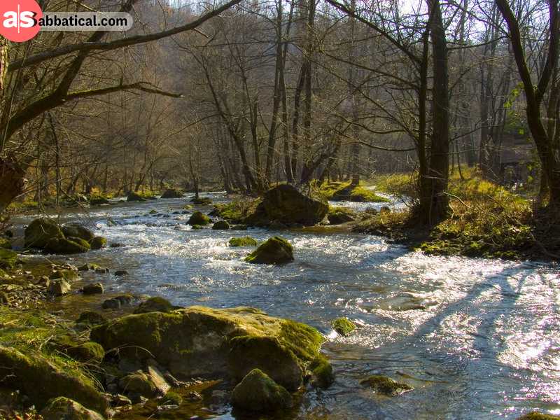Gradac River is just a small showcase of just how nature is rich and well-preserved in Serbia.