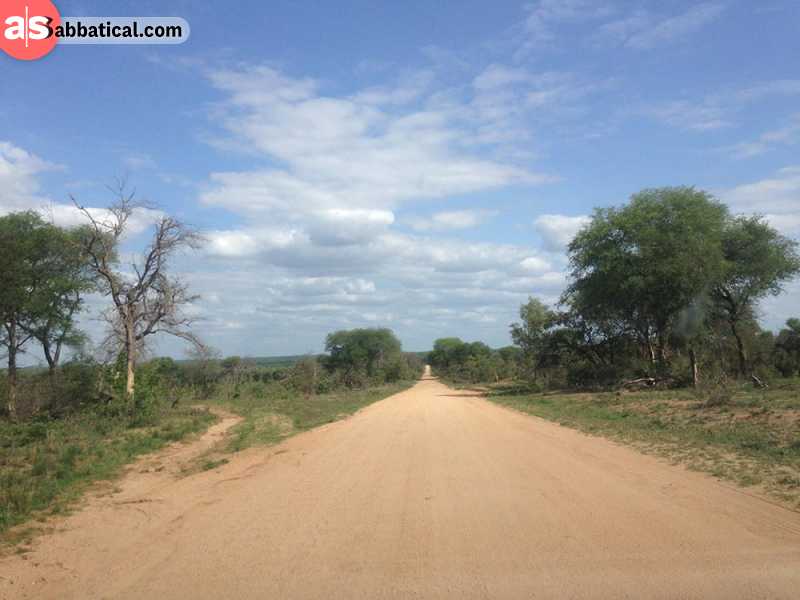 Kruger National Park in South Africa