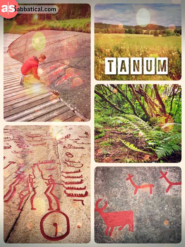 Tanum Rock Carvings - exploring an area with highly concentrated prehistoric rock carvings