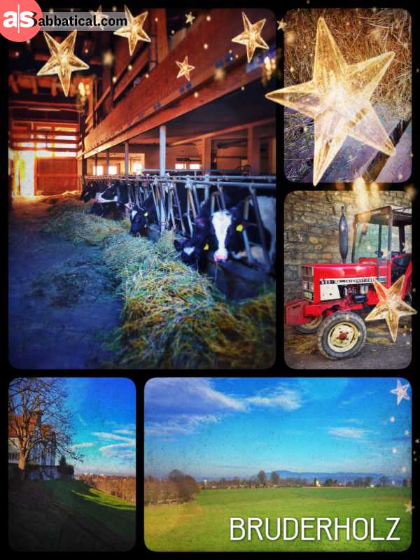 Bruderholz - a city hill with view, banker, churches and a farm!