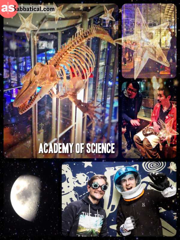 Academy of Sciences - science at night, with music and with a cocktail is so much more fun