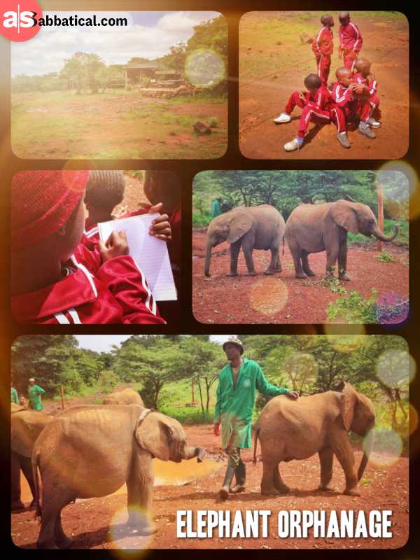 Elephant Orphanage - a place of rescue, rehabilitation and learning about a gracious species