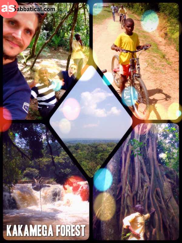Kakamega National Park - cycling through the last tropical rain forest of Kenya and enjoying the canopy view