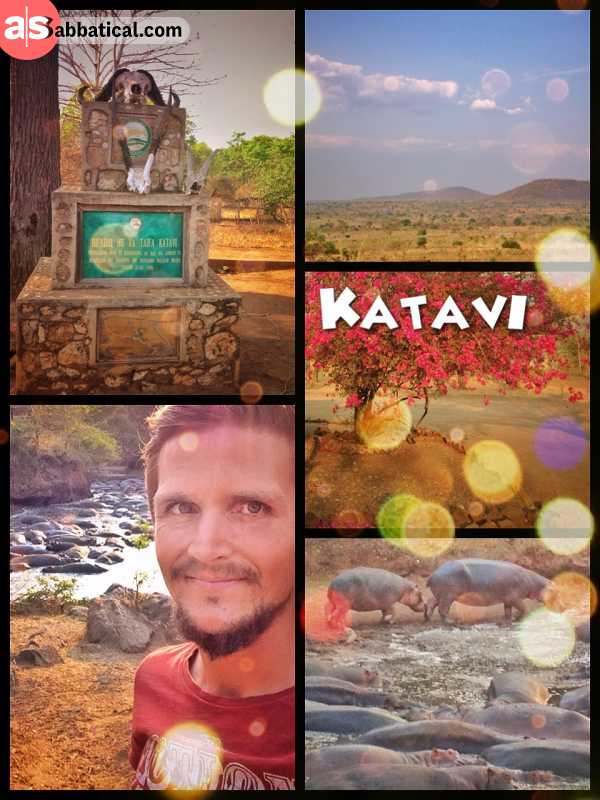 Katavi National Park - indoor camping next to a horde of chilling Hippos to avoid the roaming Lions