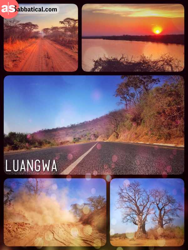Luangwa River - spending one night at the Luangwa Bridge Camp before heading to the Lower Zambezi