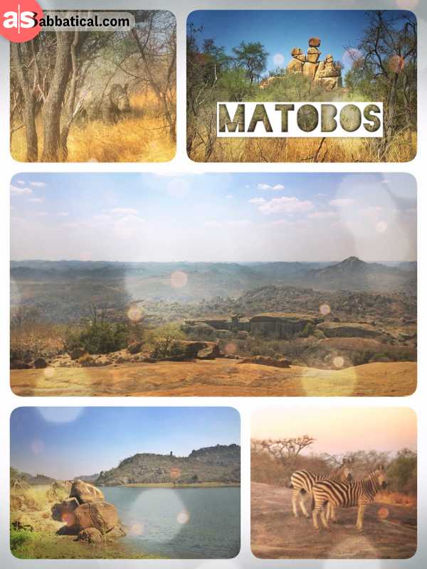 Matobos National Park - spotting Zebras near the campsite and walking up to a White Rhino