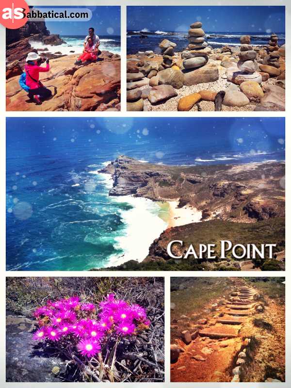 Cape Point - beautiful Nature Park with its highlight the most famous Cape of Good Hope