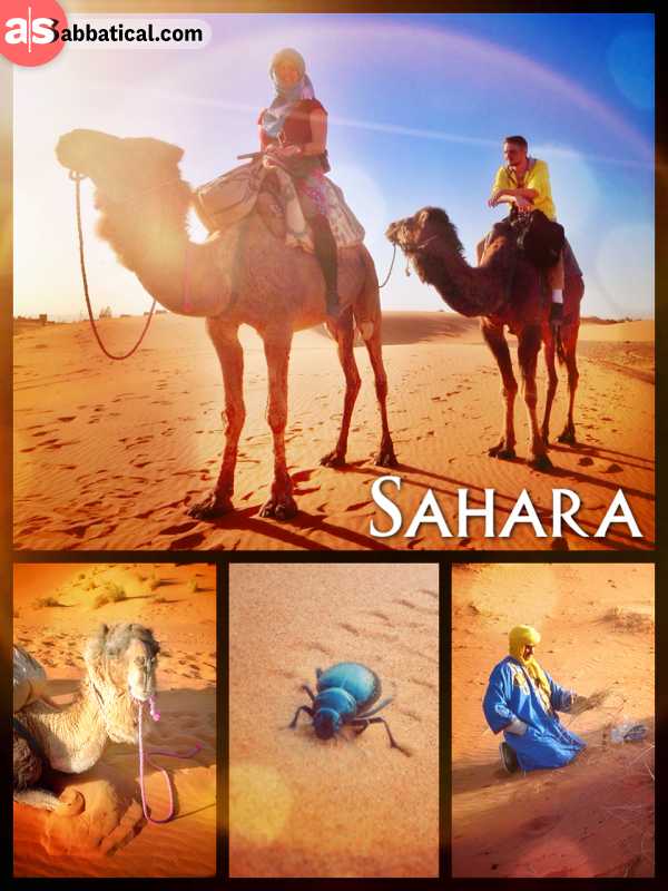 Sahara Camel Ride - crossing Morocco's largest sand desert Erg Chebbi on a slow camel back