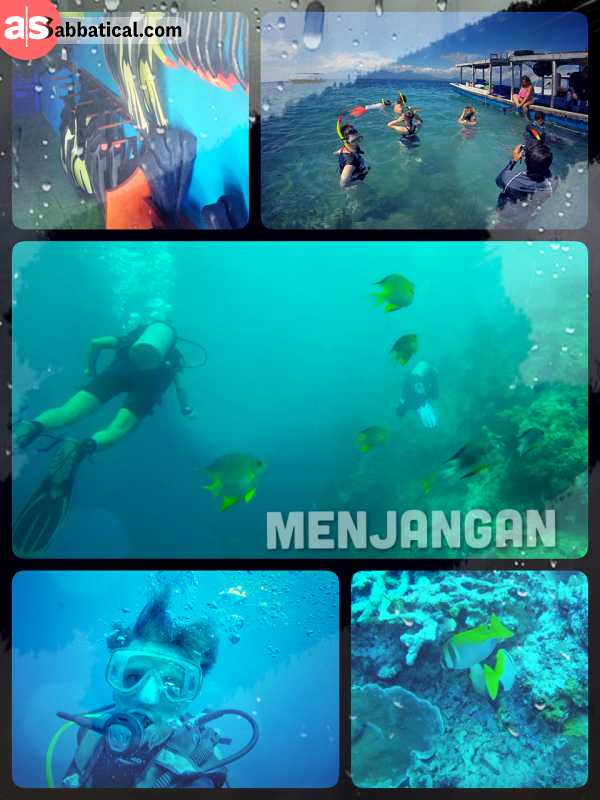 Menjangan - doing my first discovery scuba dive and loving every minute of it