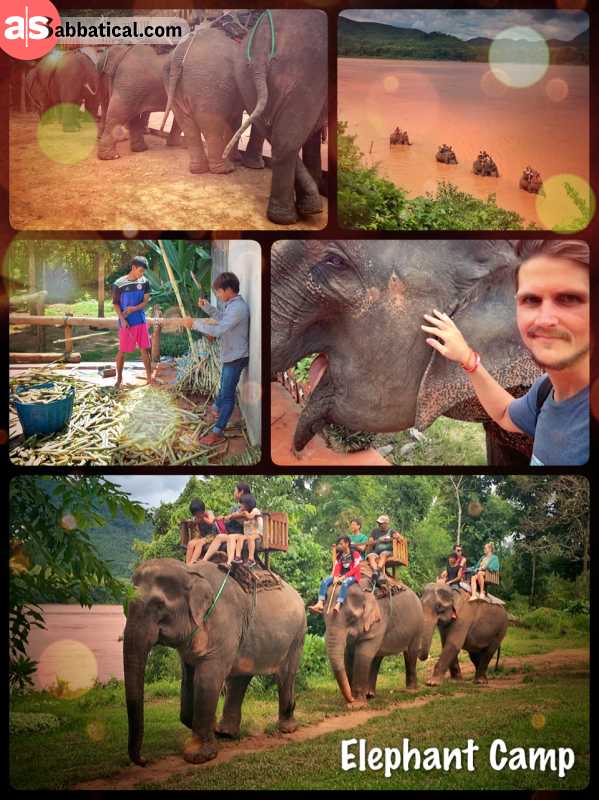 Elephant Camp - lovely place along the Mekong River to ride the grey animals