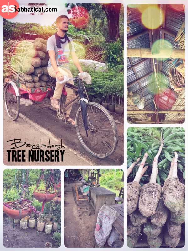 Tree Nursery - growing a variety of plants and trees for sales