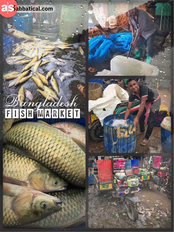 Fish Market Bangladesh - coming from a fish farm and ending up on a plate very soon
