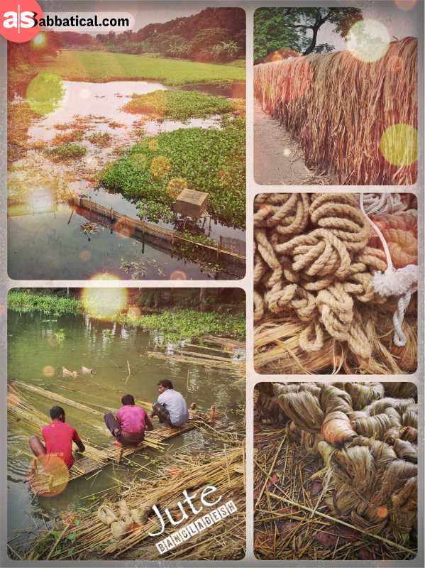 Bangladeshi Jute - an important industry and natural fibre for Bangladesh
