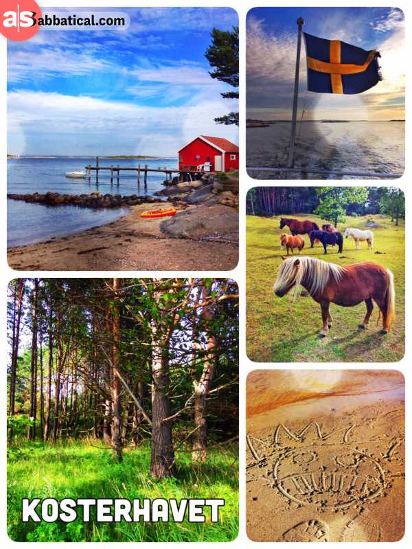 Kosterhavets Nationalpark - hiking along the scenic shore of Sweden's oldest national marine park