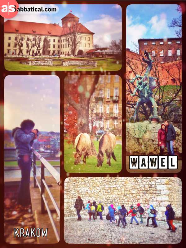 Wawel Royal Castle - where all the great kings lived and died