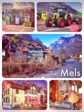 Mels - great location in Eastern Switzerland to quickly reach many major ski resorts