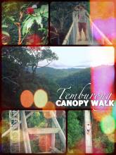 Canopy Walk - high above the Ulu Temburong National Park on Borneo