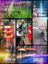 Ubud - getting a culture shock when reaching this touristic town on Bali island