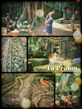 Ta Prohm - temple near Angkor Wat that is overgrown by trees and moss