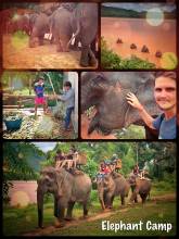 Elephant Camp - lovely place along the Mekong River to ride the grey animals