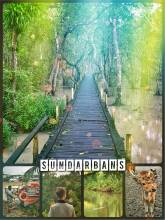 Sundarbans - 