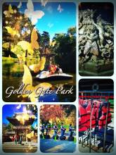Golden Gate Park - riding the bicycle through the park and enjoying the warm winter sun in San Francisco