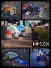 Living under the Bridge - the number of homeless in this city is alarming but mostly all of them are harmless
