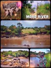 Mara River - observing lazy hippos during the quiet time before the great migration