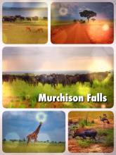Murchison Falls - spotting countless wild animals on my very first independent Safari Game Drive