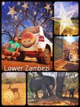 Lower Zambezi - driving slalom around many elephants, but not spotting a single lion in the park