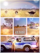 Kalahari - fighting my way out of an unjustified speeding ticket and avoiding a possible bribe