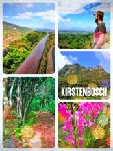 Kirstenbosch National Botanical Garden - hiking up the beautiful hills below table mountain for a stunning view over Cape Town
