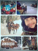 Horse Sleigh Rides - riding with my family on a cuddly sleigh through the white winter wonderland