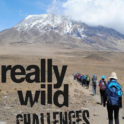 Wild Challenges